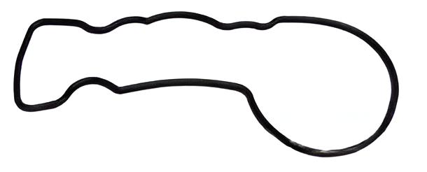 O-ring