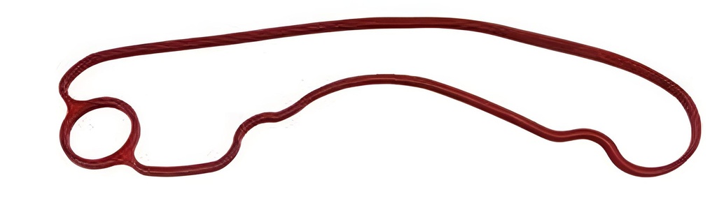 O-ring