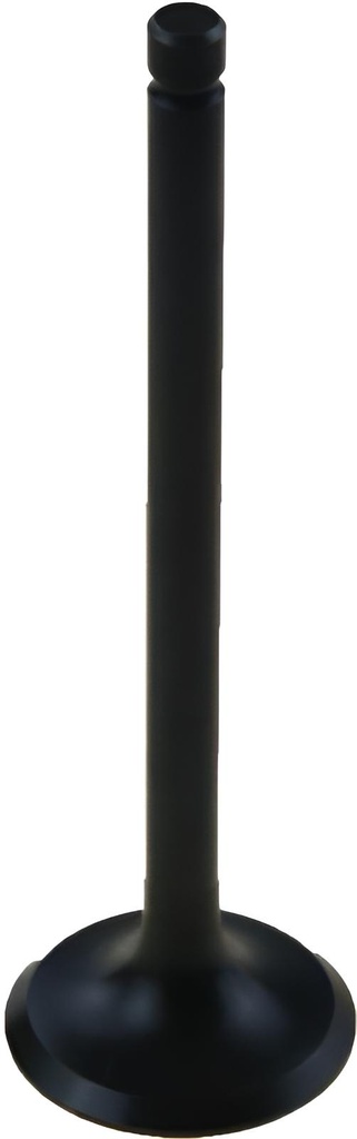 Einlassventil Yamaha