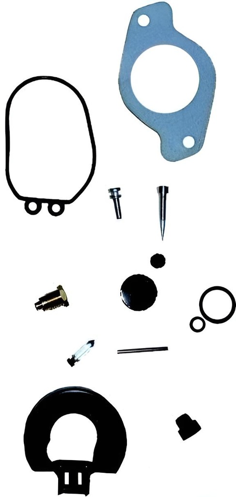 Vergasersatz Yamaha-mariner