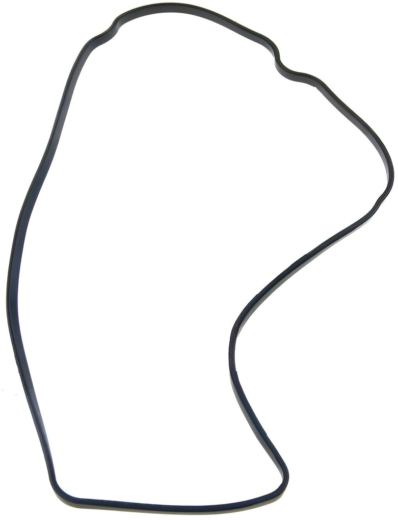 O-ring