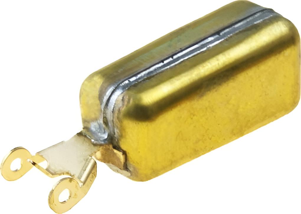 Vergaserschwimmer Weber