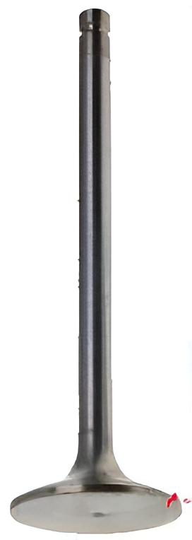 Auslassventil 838638