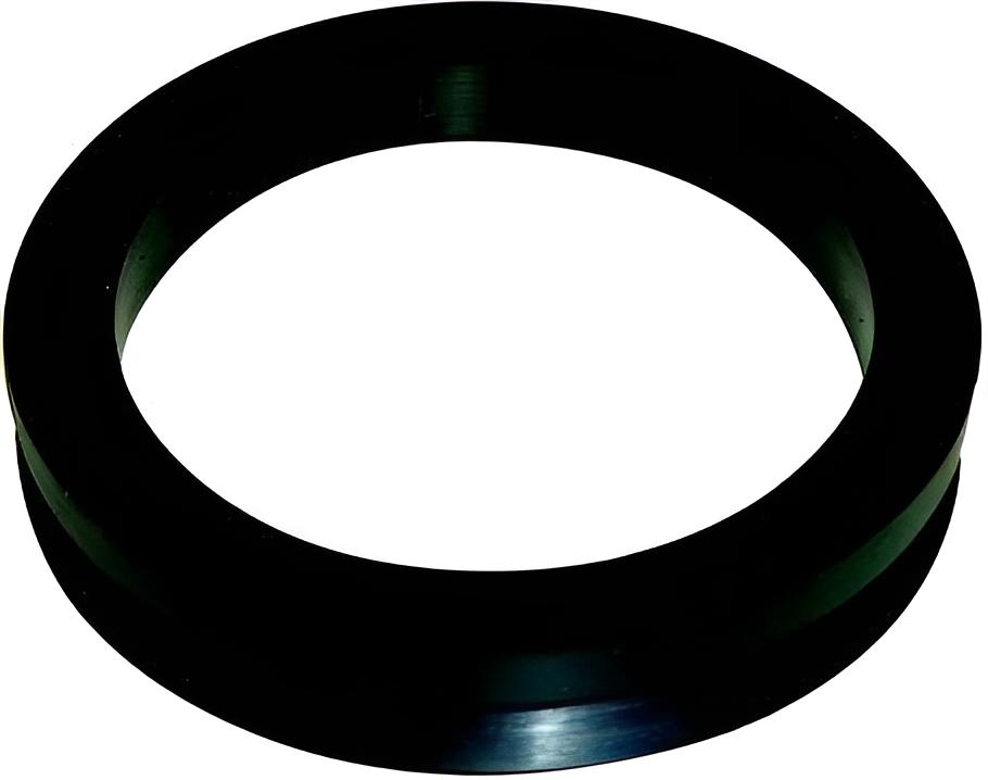 Dichtring Lenkung
