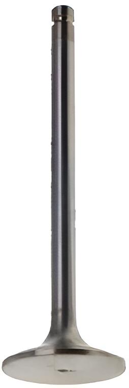 Einlassventil 838637