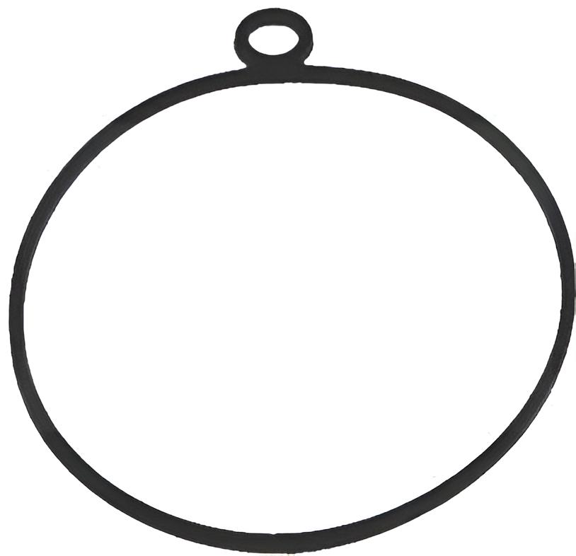 Dichtring