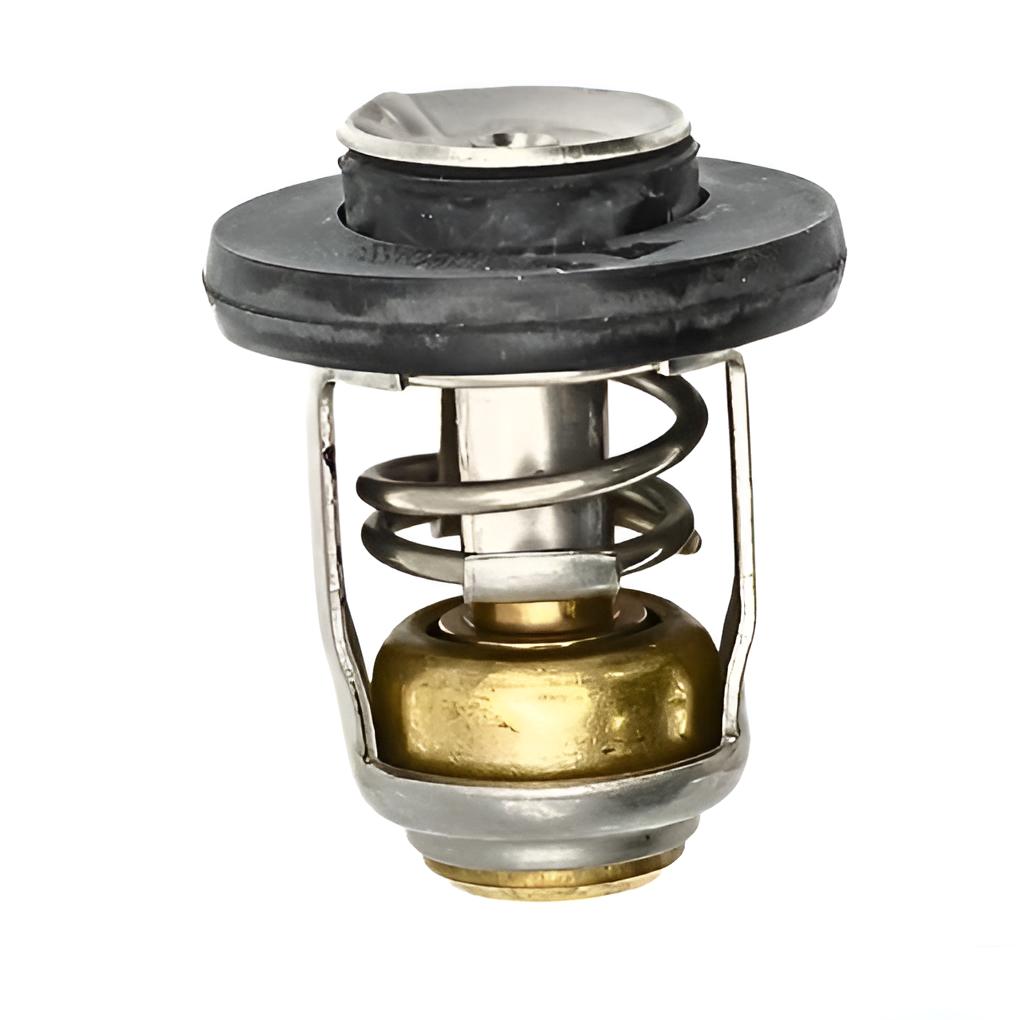 Thermostat 60º