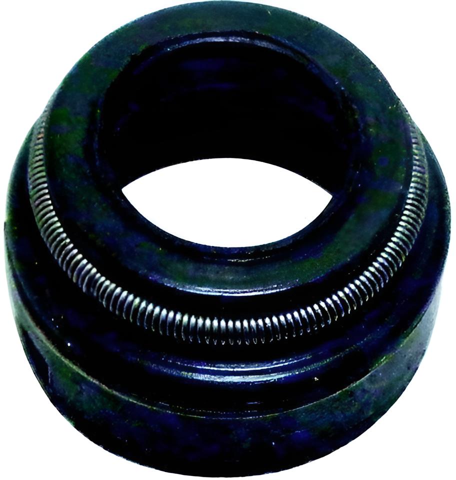 Dichtring Ventil