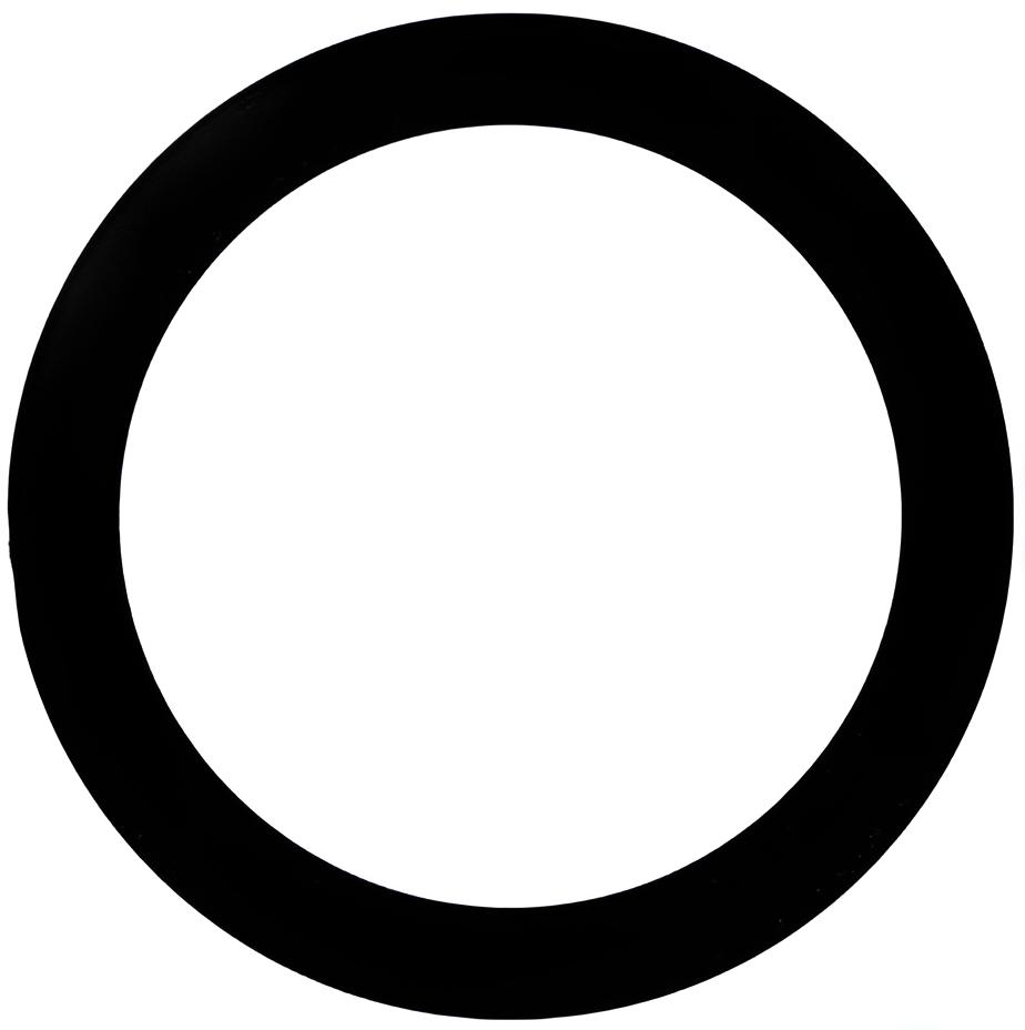 O-ring Zylinderkopf