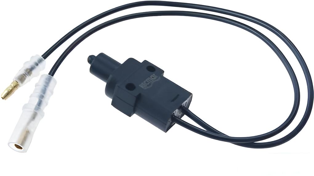 Microrruptor