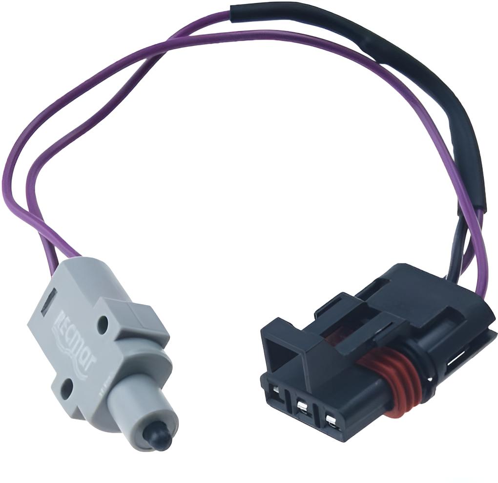 Microrruptor