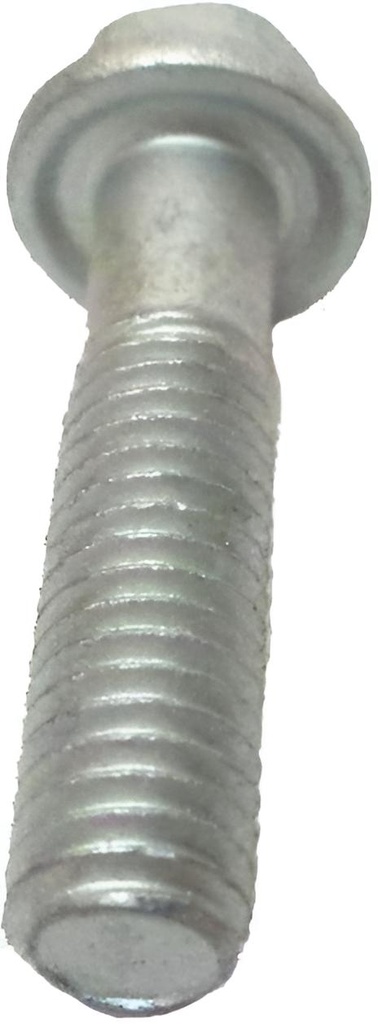 Bolt