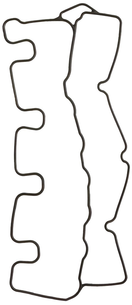 Ventildeckeldichtung