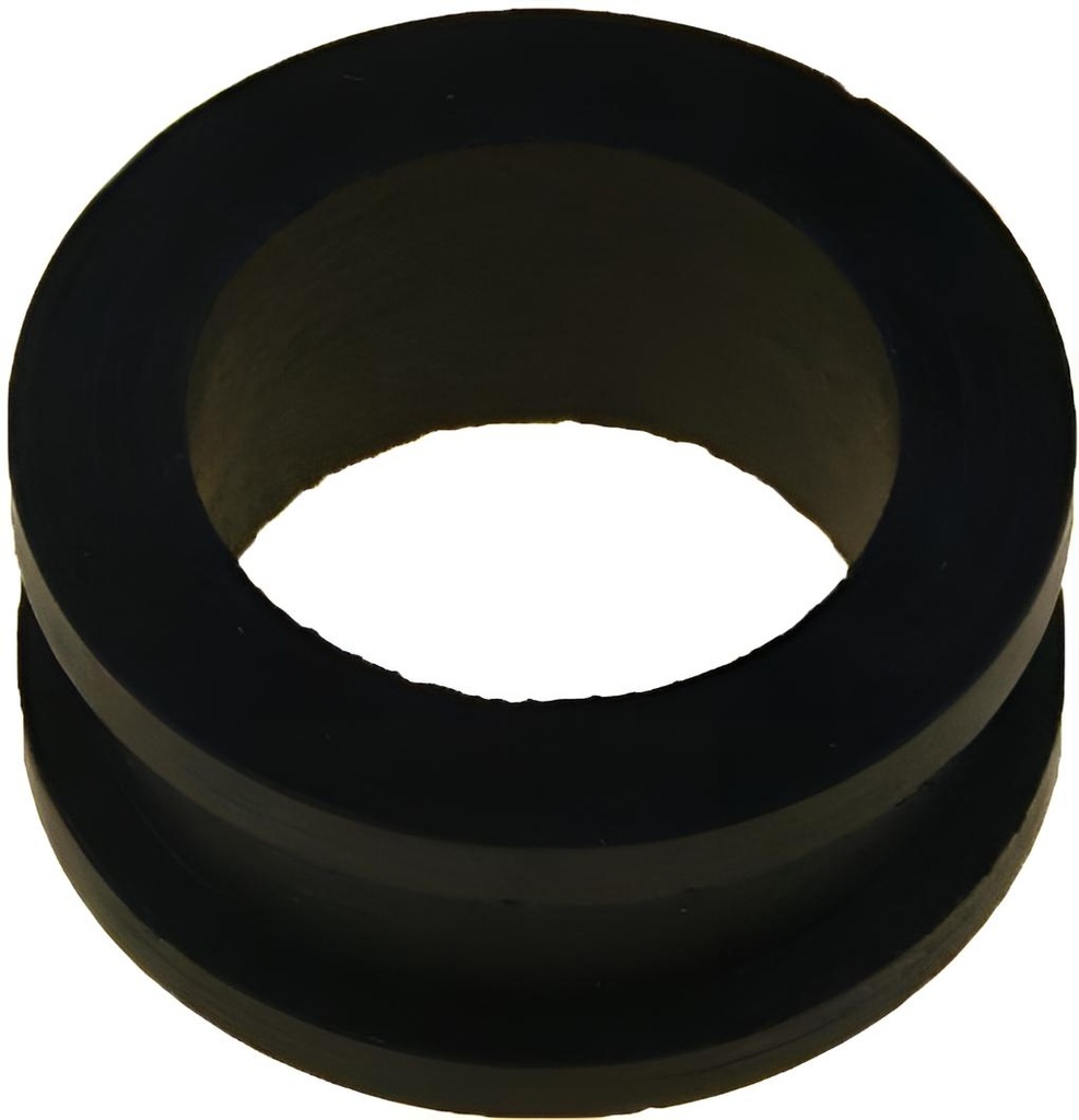 Protector Ring