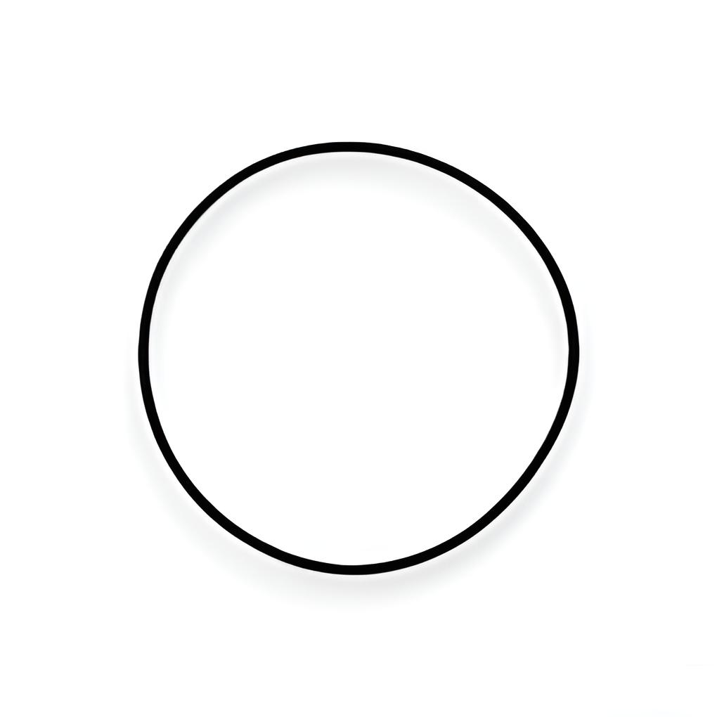O-ring