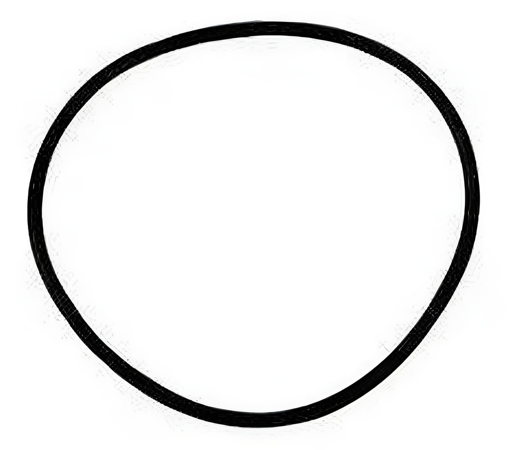 O-ring