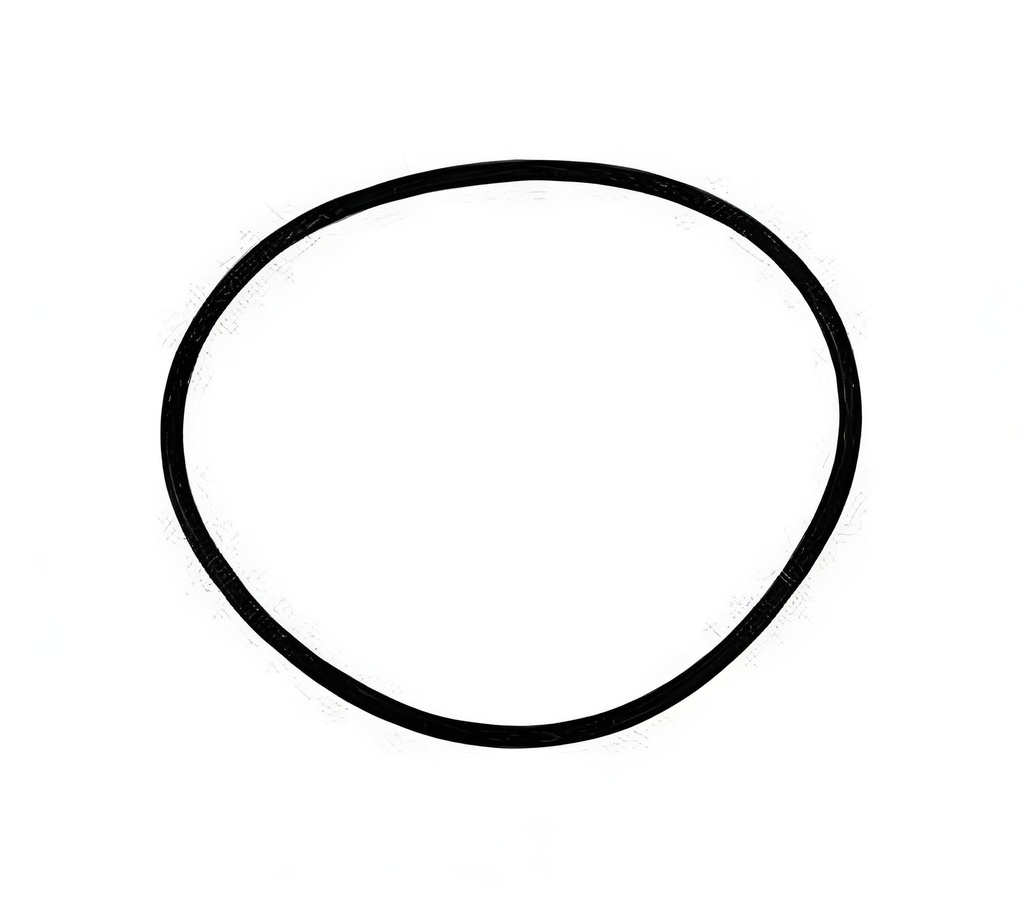 O-ring