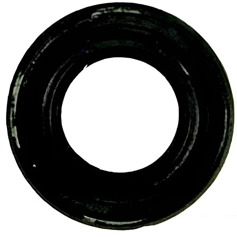 Water Pump Seal