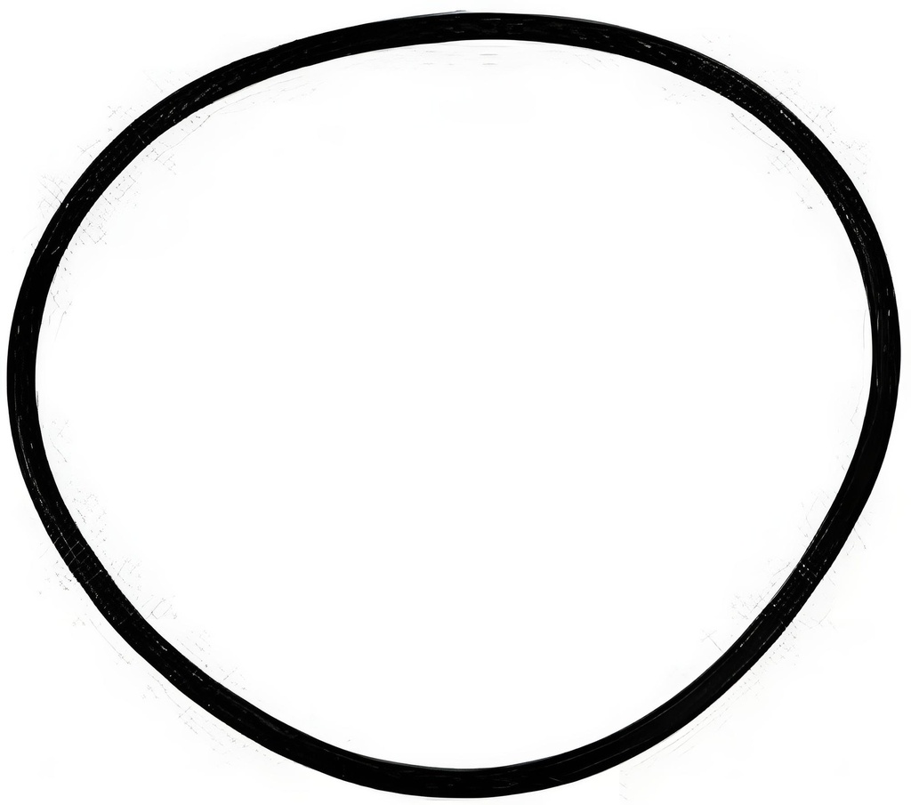 O-ring