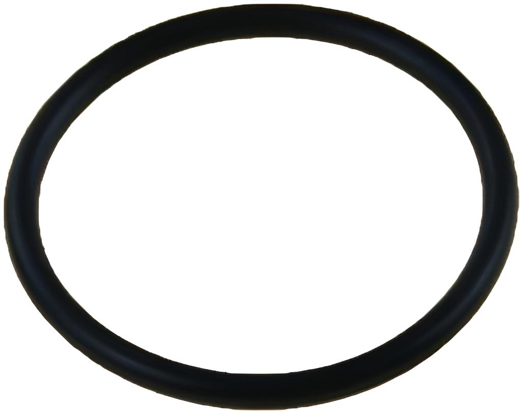 O-ring