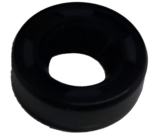 Dichtring