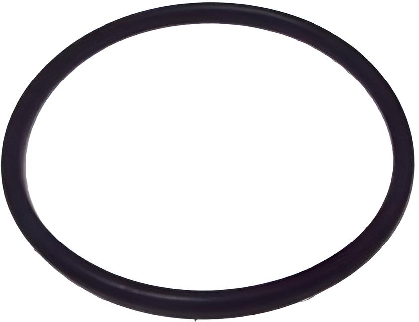 O-ring Yamaha