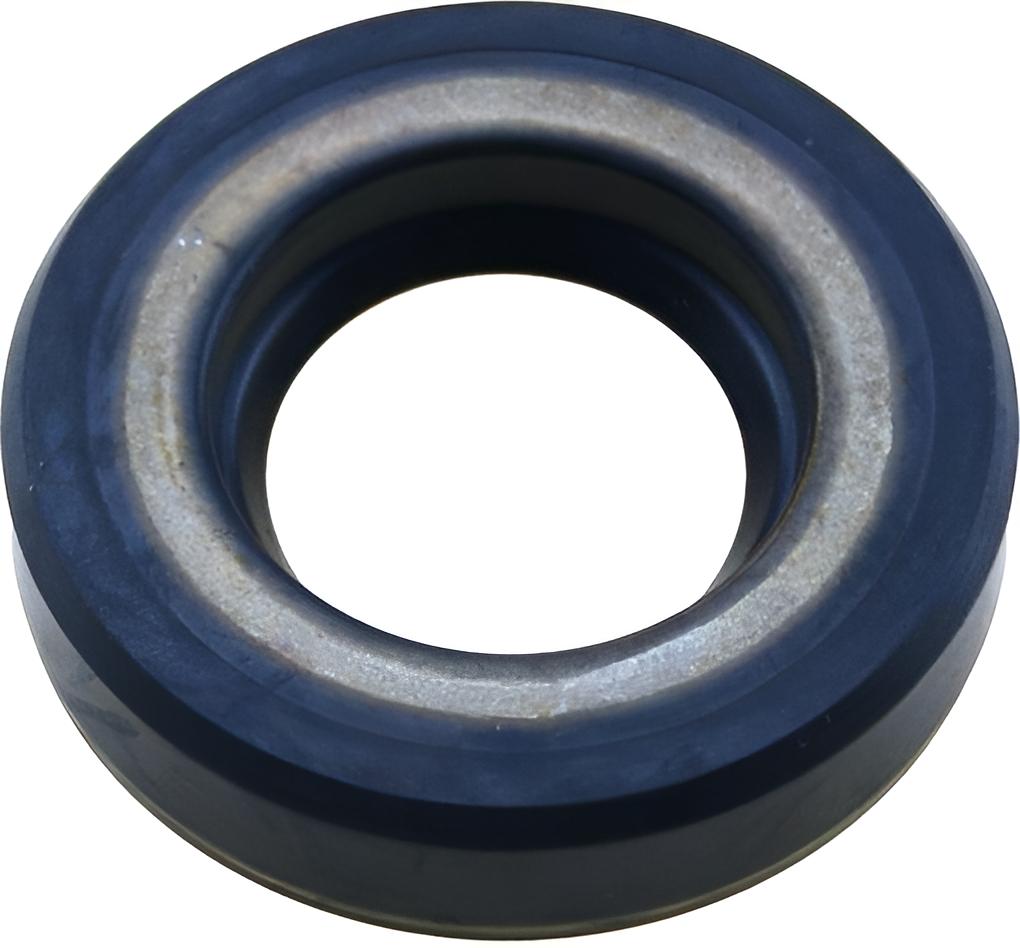 Dichtring