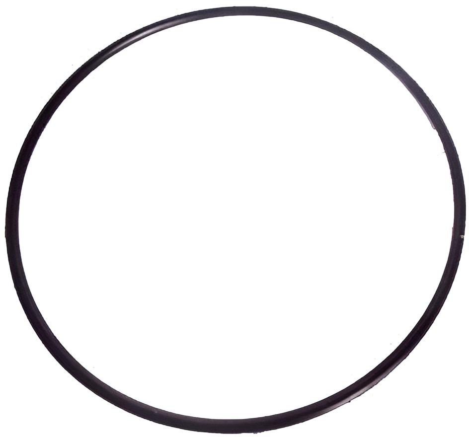 O-ring Yamaha