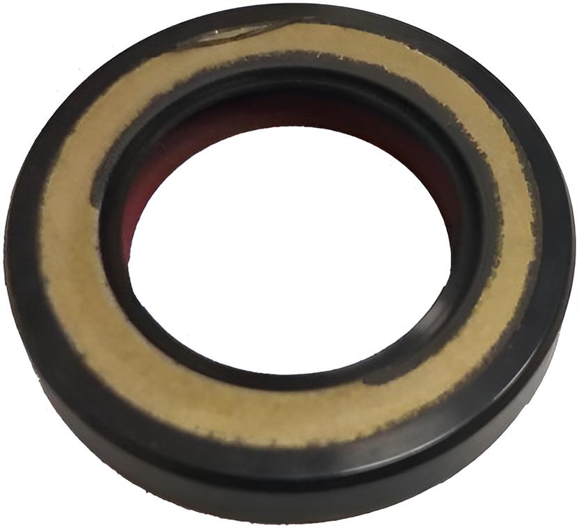 Dichtring