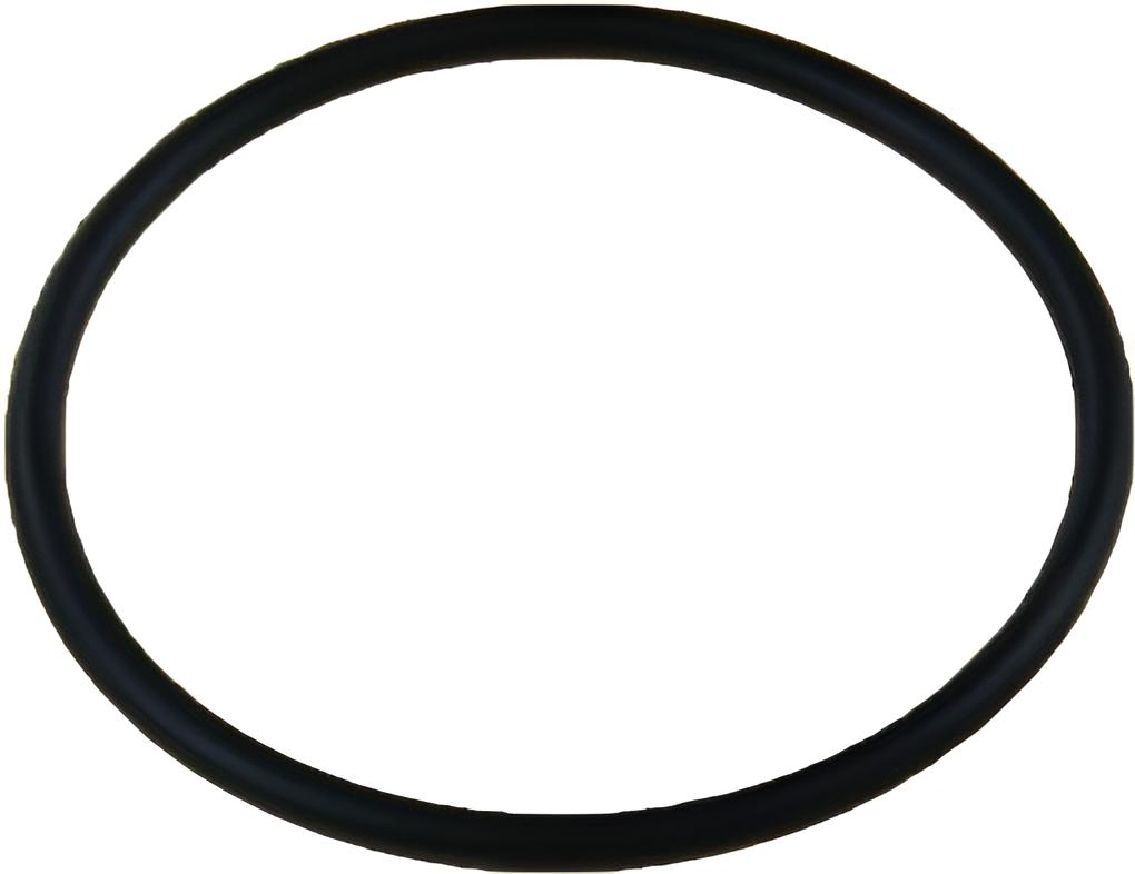 O-ring