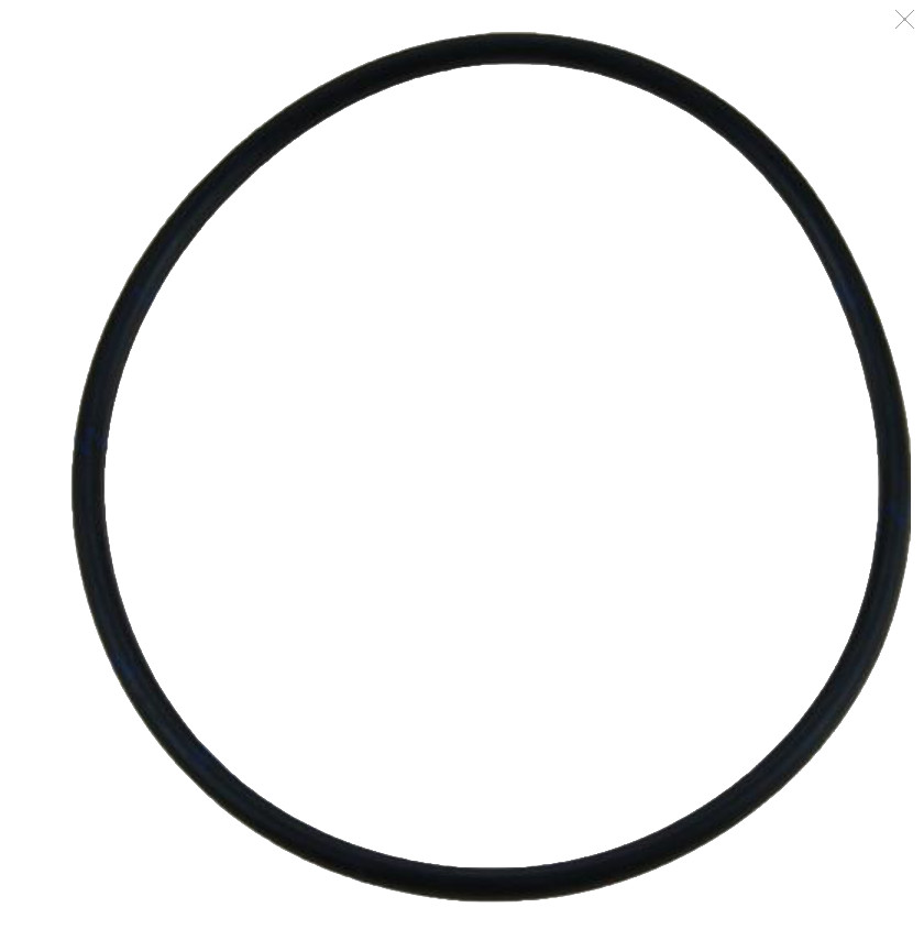 O-ring