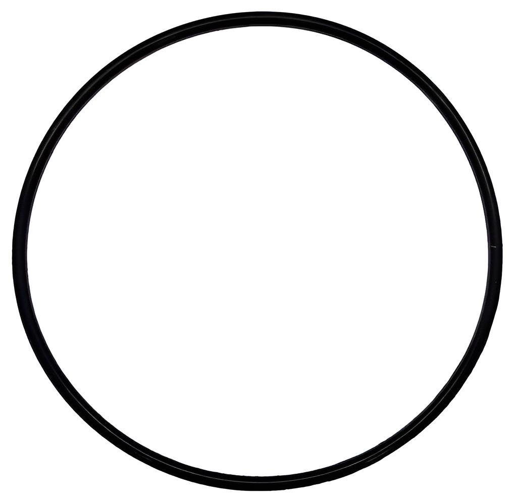 O-ring