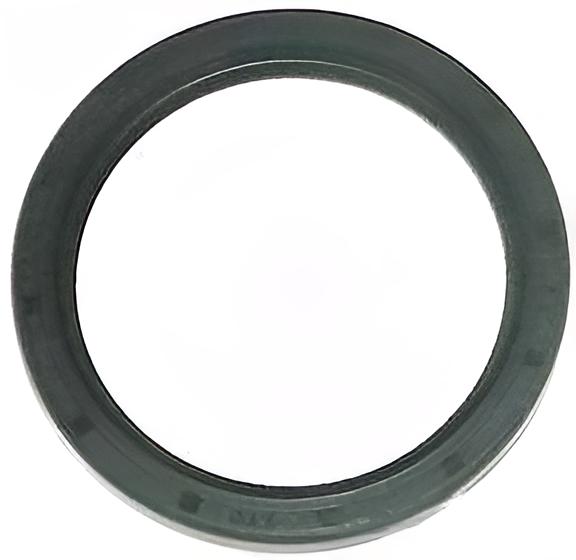 Dichtring