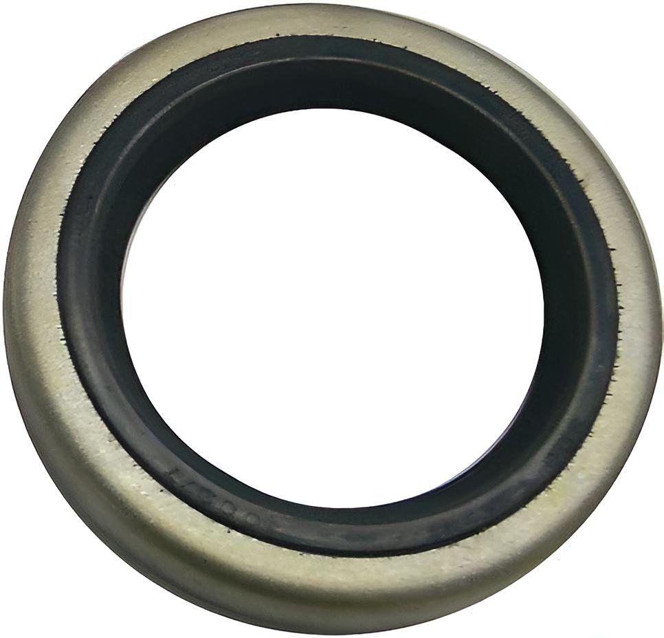 Dichtring
