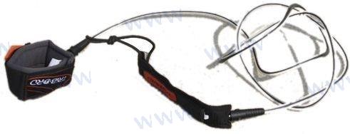 LEASH