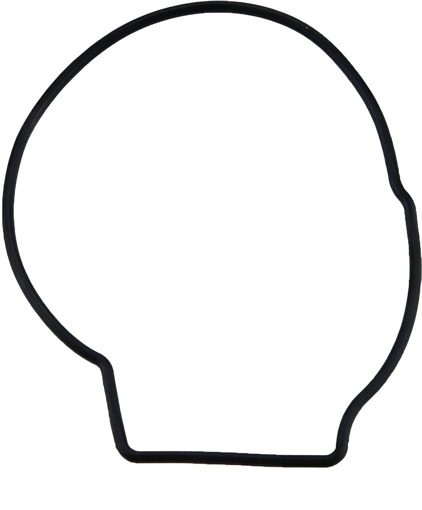 O-ring