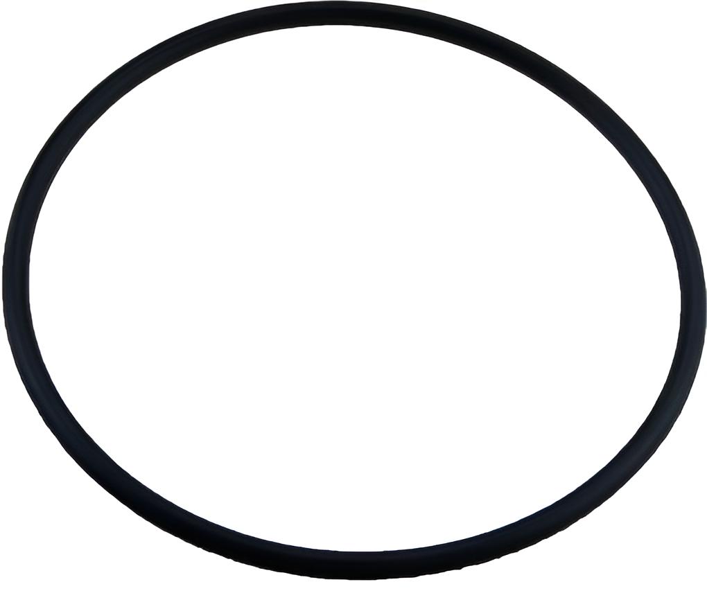 Dichtring