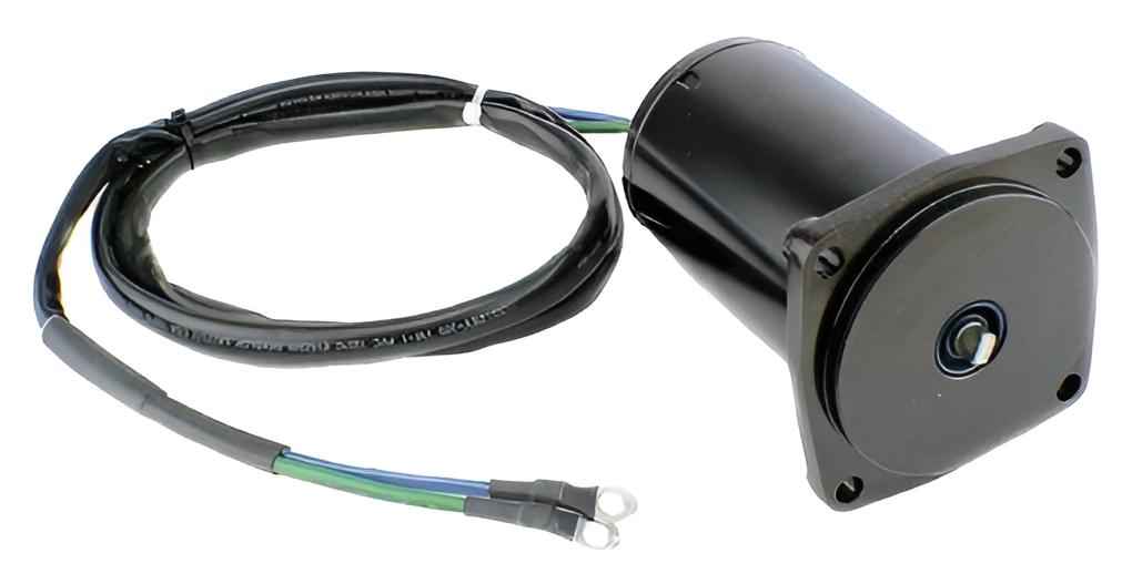 Trim Motor