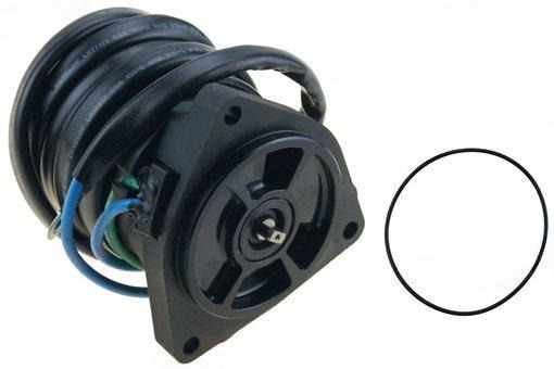 Trim Motor