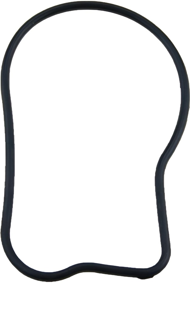 O'ring