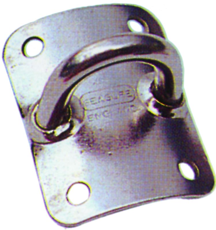 Oogplaat Gebogen  Rvs  51x39mm