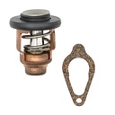 Thermostat 8m0139434