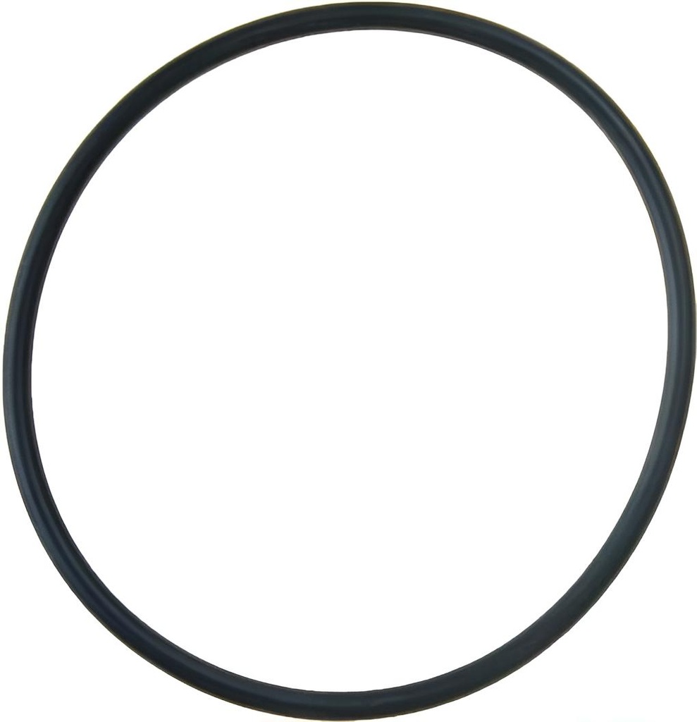 O-ring