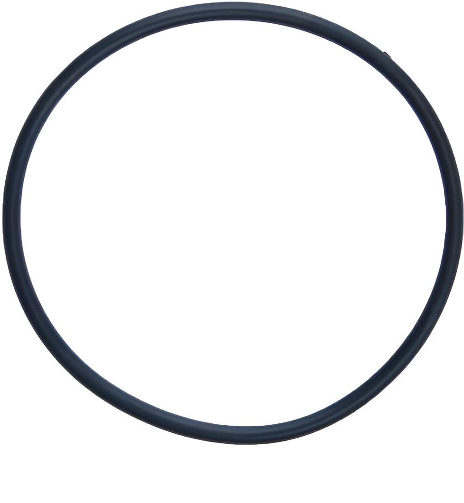 O-Ring Volvo Penta Seewasserpumpe hinten 3580380, 3580917