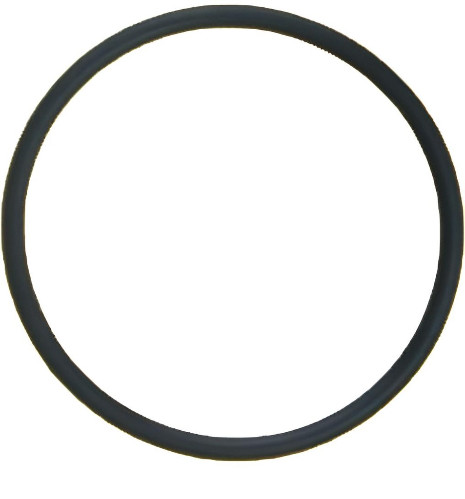 O-ring