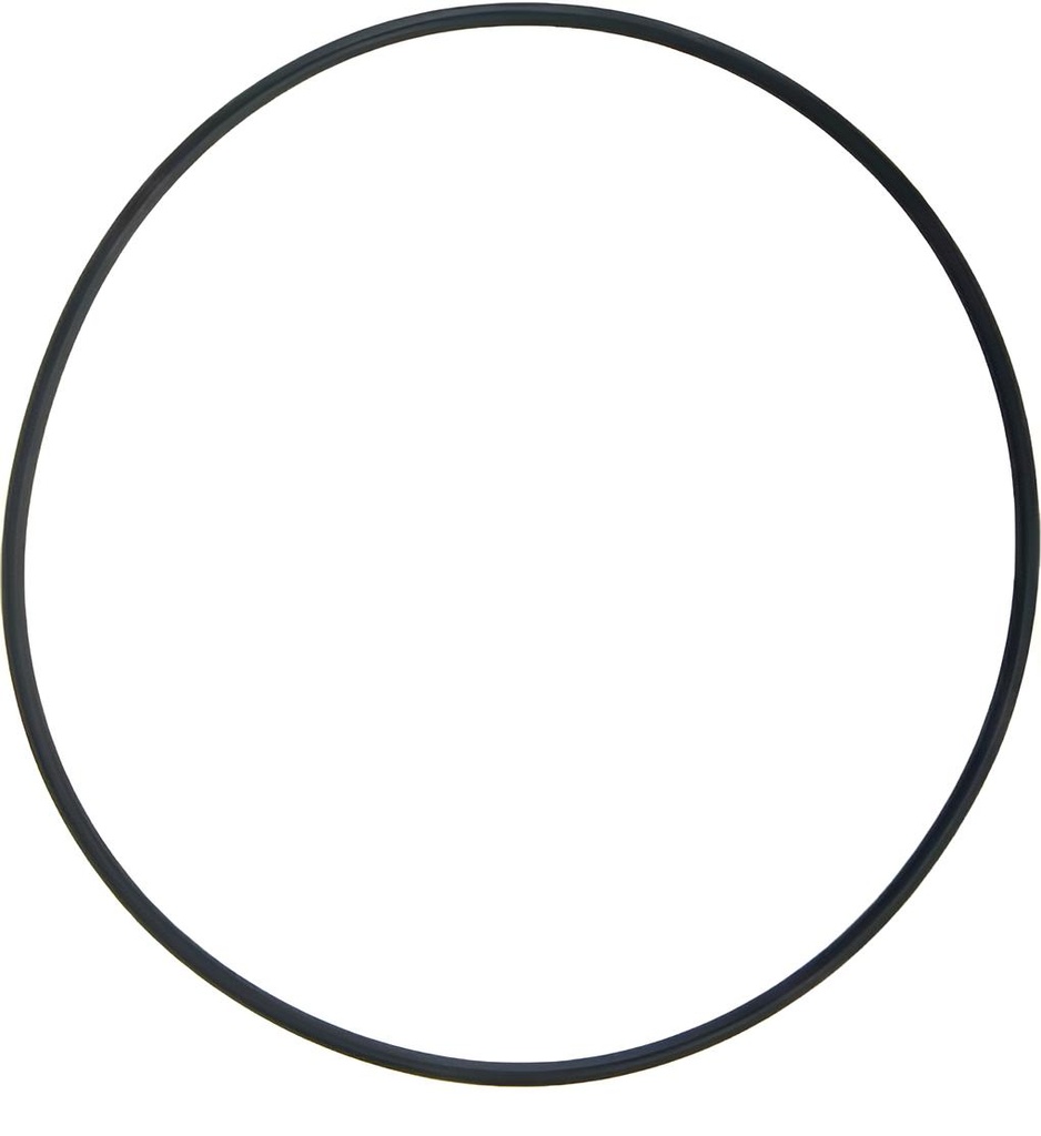 O-ring