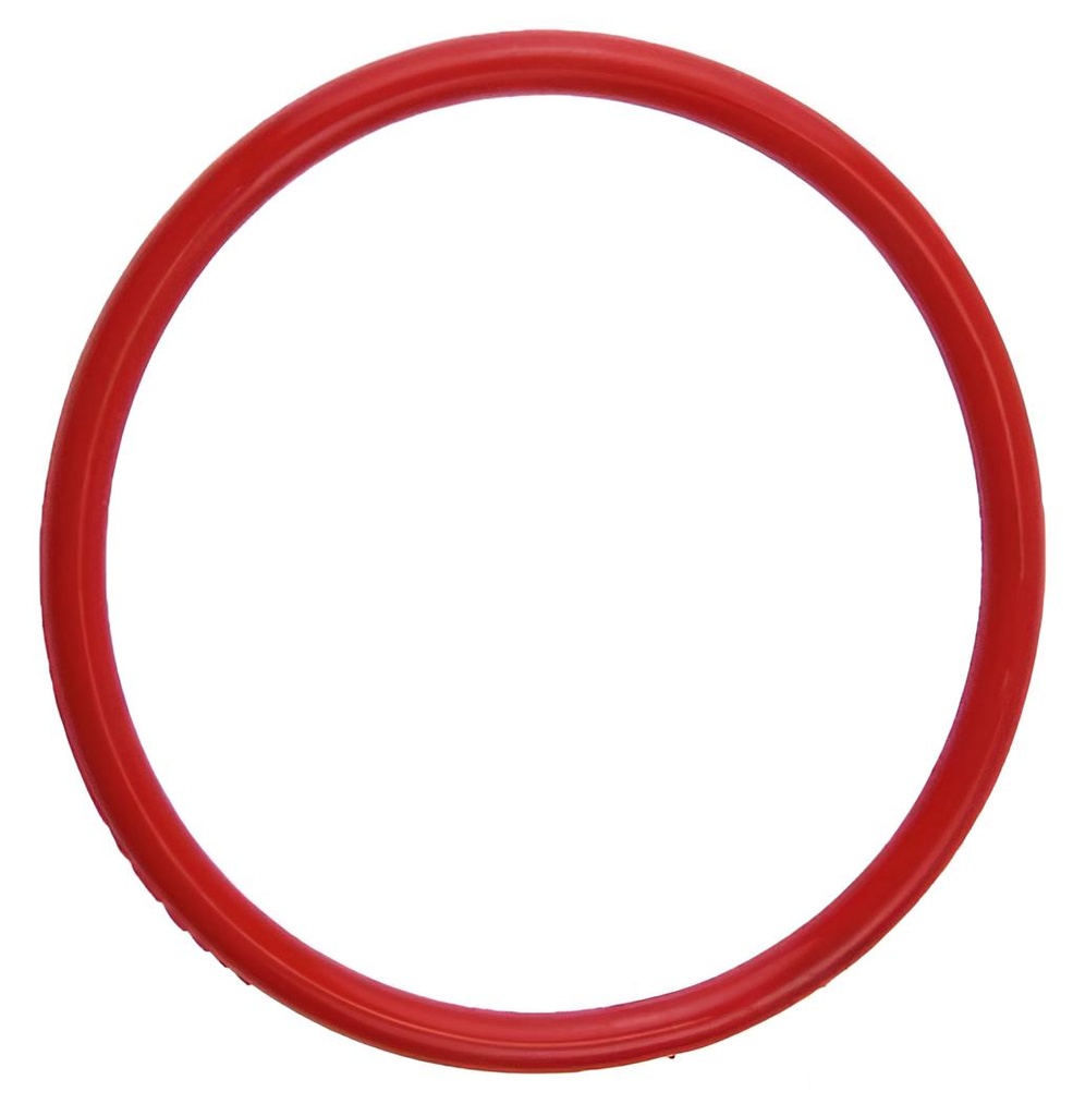 O-ring