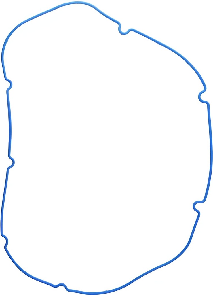 Ventildeckeldichtungsatz