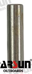 Pin