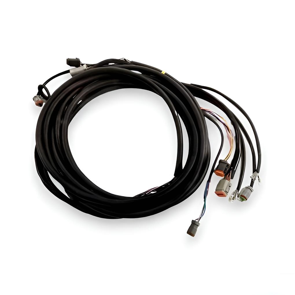 Kabelbaum 12ft